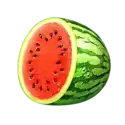 icon 4