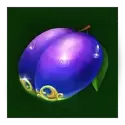 icon 4