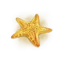 icon 4