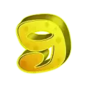 icon 13