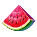 icon 4
