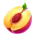 icon 2