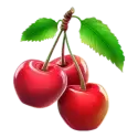 icon 6
