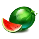 icon 4