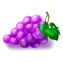 icon 5