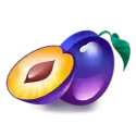 icon 6