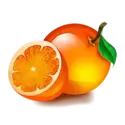 icon 7