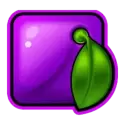 icon 7