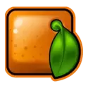 icon 5