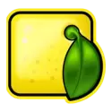 icon 6