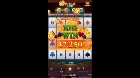 Wild Ace slot screenshot 6