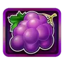 icon 5