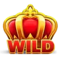 icon 1