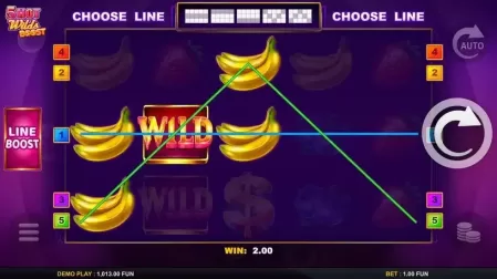 5 Hot Wilds Boost slot screenshot 4