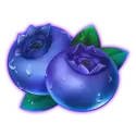 icon 4