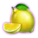 icon 6