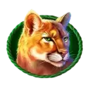 symbol 3