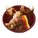 symbol 5