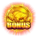 symbol 13