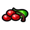 icon 6