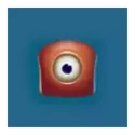 icon 7