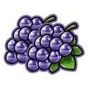 icon 4