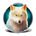 icon 4