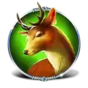 icon 5