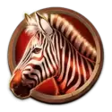 icon 5