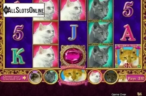 Game Workflow screen. Purrfect from High 5 Games