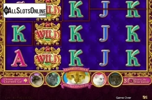 Win Screen2. Purrfect from High 5 Games