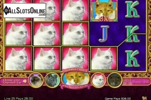 Win Screen. Purrfect from High 5 Games