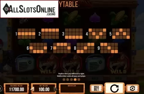 Paytable. Rock n Roll Rooster from SYNOT