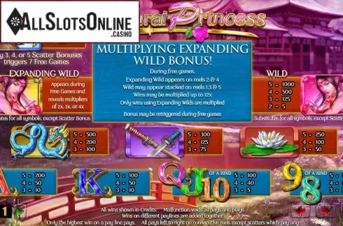 Paytable. Samurai Princess from Lightning Box