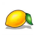 icon 9