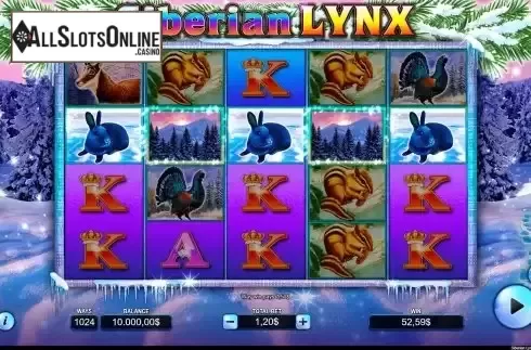 Wild on 2 and 4 reels Screen