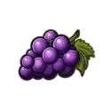 icon 5