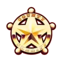 icon 11