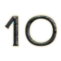 icon 10