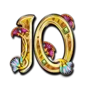icon 9