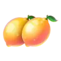 icon 6