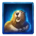 icon 4