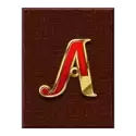 icon 5
