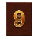 icon 10