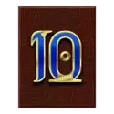 icon 9