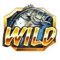 icon 10
