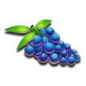 icon 10
