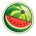 icon 6