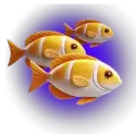icon 11