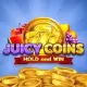 Juicy Coins: Hold and Win